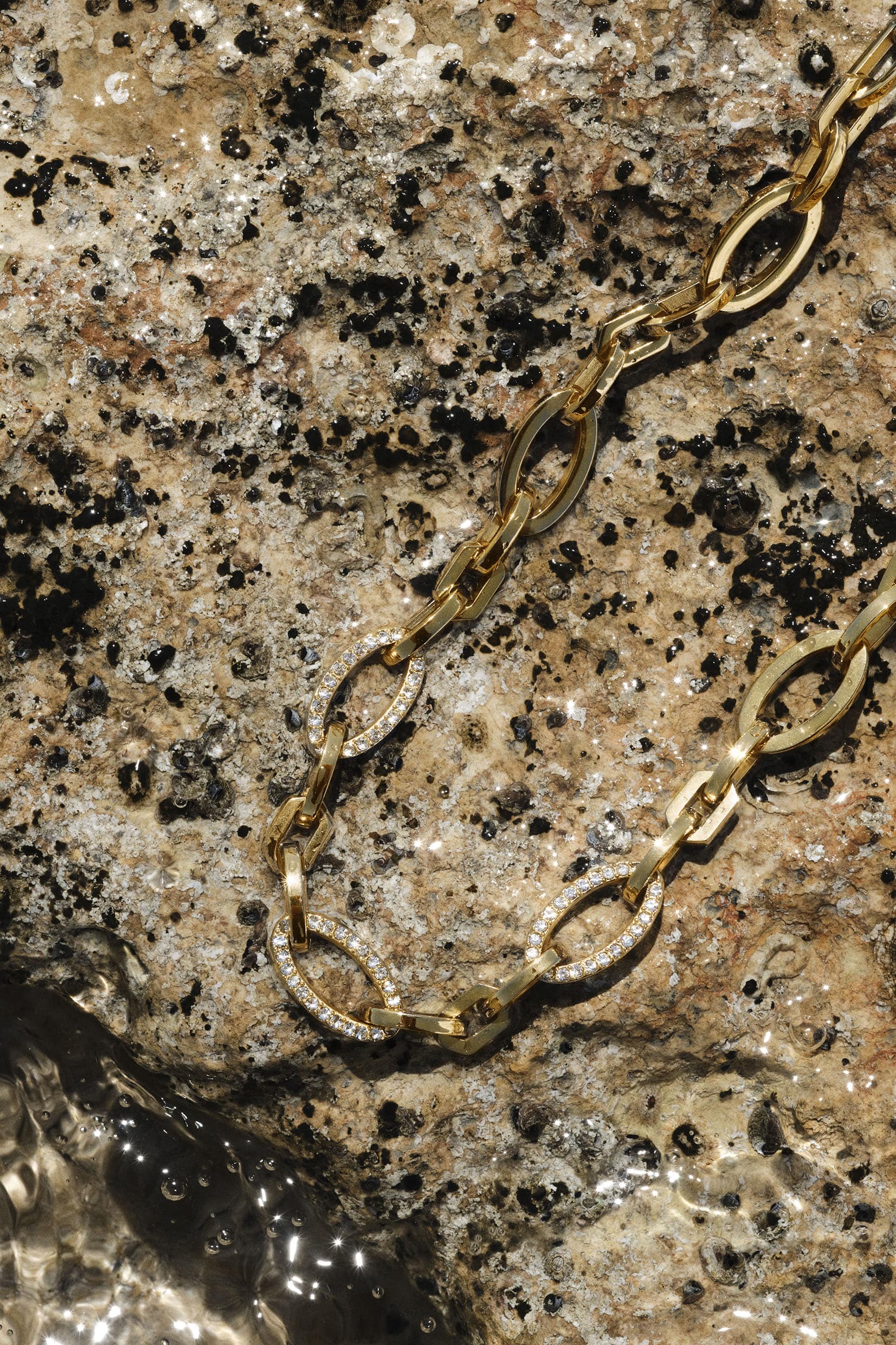 Phoenix Link Necklace